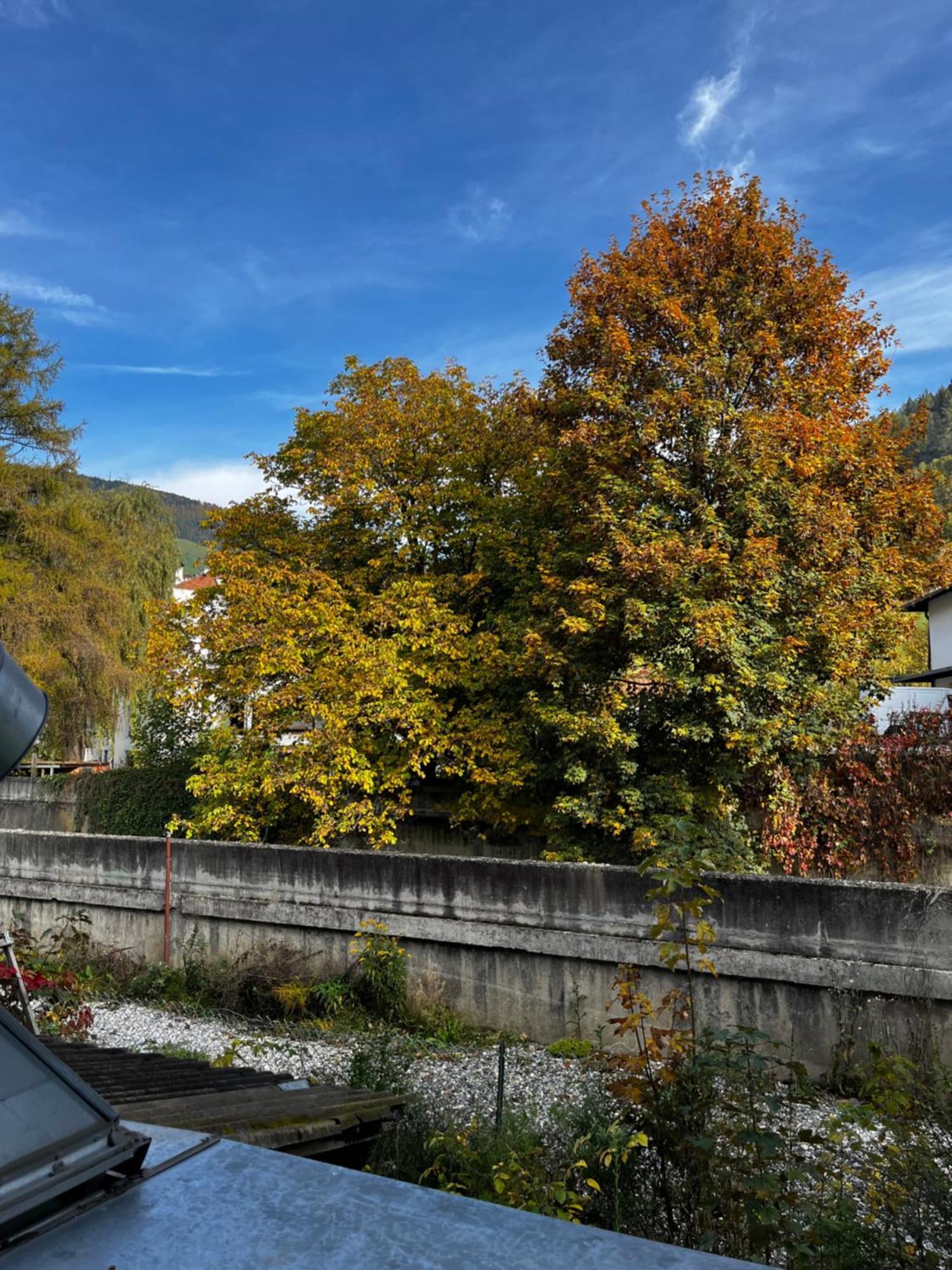 Gasthof Sterzingerhof Екстериор снимка
